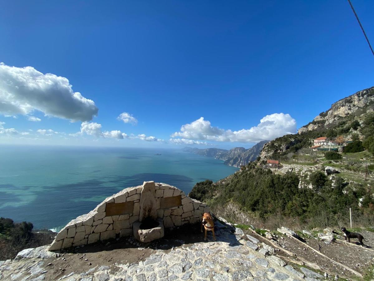 Il Profumo Dei Fiori Suite Praiano Extérieur photo